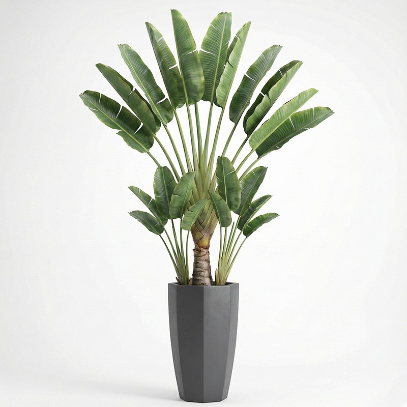Wysokiej jakości plastikowy sz – Fiddle Leaf Fig recenzja i cena