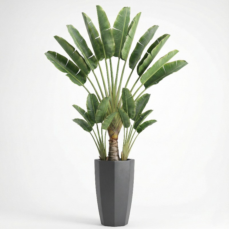 Wysokiej jakości plastikowy sz – Fiddle Leaf Fig recenzja i cena